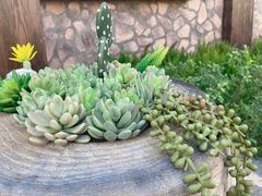 -珠海海泉湾神秘岛亲子乐园