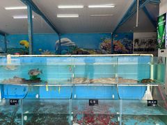 -双月饭店·20年老字号(新村店)