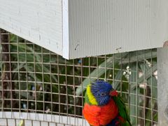 -大连森林动物园