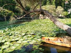 -广州市干部健康管理中心