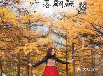雪山彩林飞瀑，霁雨初晴小九寨美哉美哉