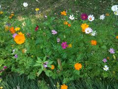 -福建鲤鱼洲酒店