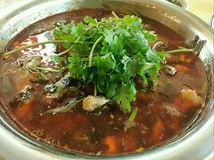 -胖大姐黄辣丁鱼庄(新津店)