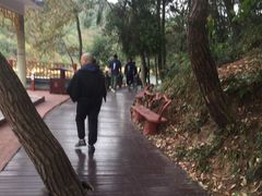 -石燕湖生态旅游景区