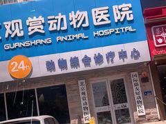 -北京观赏动物医院·24小时大型综合·猫专科·异宠专科