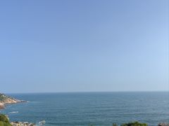 -广东惠东海龟国家级自然保护区