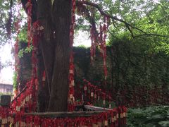-75幢私房菜馆