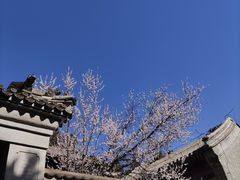 -香山公园