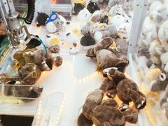 -PAWTOY爪e玩偶店(天兴罗斯福店)