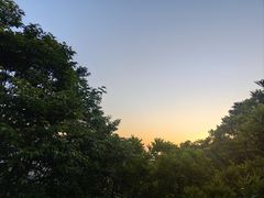 -紫金山山顶公园
