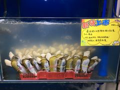 -蚝专家(北滘店)