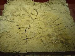 -南越王博物院(王宫展区)