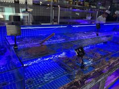 -渔民船说·北塘海鲜·天津菜·海肠捞饭(北塘古镇店)