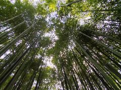 -竹泉村旅游度假区