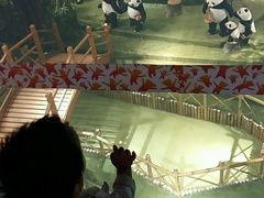 -成都泰迪熊博物馆