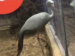 -无锡动物园·太湖欢乐园