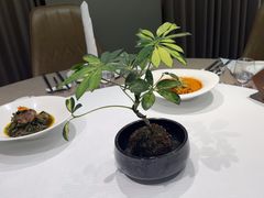 -新廊桥(原科华廊桥店)