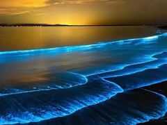 -无为足道(中南二路店)