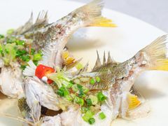 -有腥气私房菜·寻味顺德