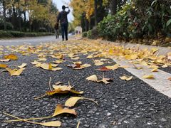 -黄陂区野村谷景区