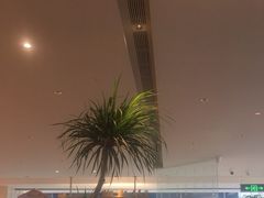 -桂满陇·蟹黄小笼汤包(巴黎春天浦建店)
