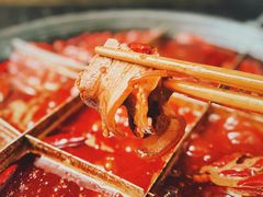 -肥龙火锅(南坪店)