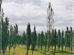 -新疆那拉提国家旅游度假区