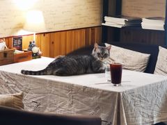 -隅cafe(傅厚岗店)