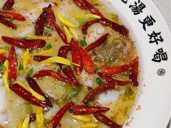 老坛酸菜鲈鱼-江渔儿酸菜鱼(东厦一百店)