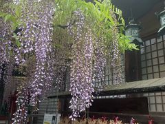 -奈良公园