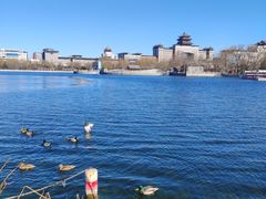 -莲花池公园