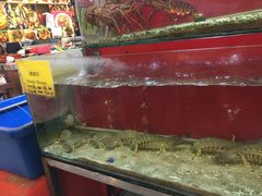 -大树下海鲜饭店
