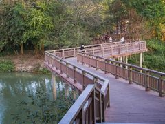 -广东花都湖国家湿地公园