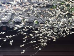 -钱王祠
