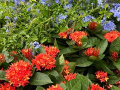 -恒达综合农贸市场(黄山路店)