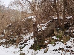-秦岭终南山世界地质公园翠华山景区