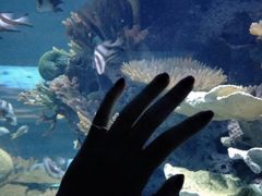 -多彩贵州城极地海洋世界