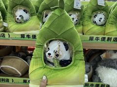 -武汉动物园