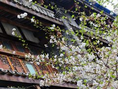 -都江堰景区