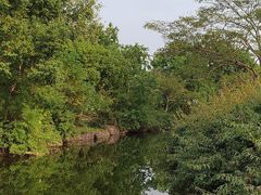 -上海滨江森林公园