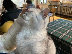 -不舍昼夜咖啡馆