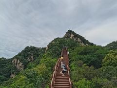 -大岭沟猕猴桃谷风景区