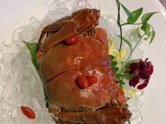 -蟹榭·本帮江浙菜·蟹宴(五角场合生汇商场店)