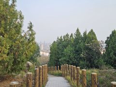 -白水寺森林公园