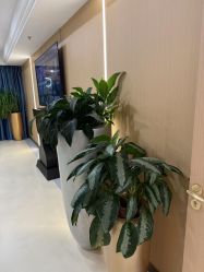-南京康美美容医院·旗舰店