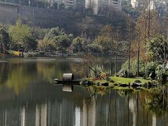 -重庆彩云湖湿地公园
