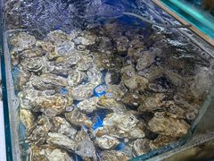 -四海蒸鲜蒸汽海鲜自助(北戴河店)