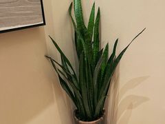 -金谷仓家庭料理(马泉营店)