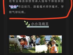 -上海马戏城