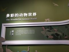 -国家自然博物馆